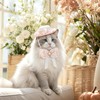 HOWWFALY 2PCS Cat Bow Hat with Lace, Adjustable Bow Collar