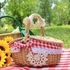 MZSX Outdoor Picnic Basket, Wicker Picnic Basket, With Lid And