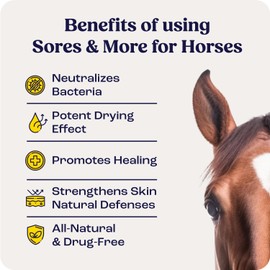 Summit Equine Sores & More Spray for Horses, All-Natural Horse Wound Care, Healing Aid, Skin Repair, Itchy Skin Relief, Moisturizing, Safe for All Animals – Non-Toxic, 4oz
