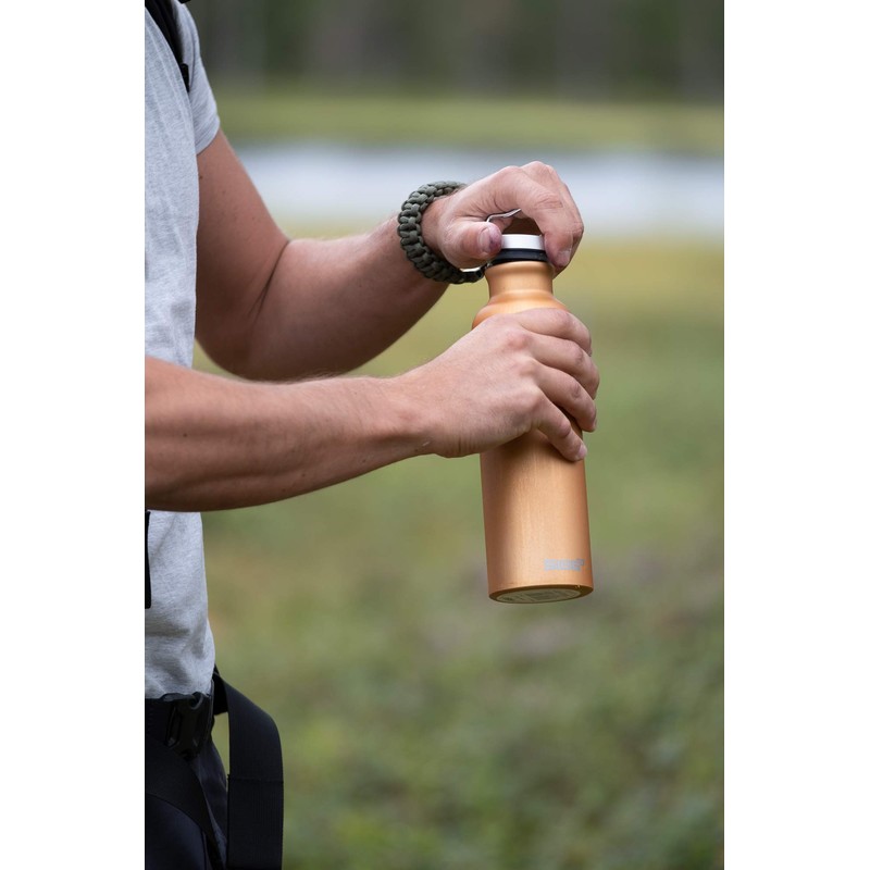 Sigg - Metal Water Bottle - Original - Made in