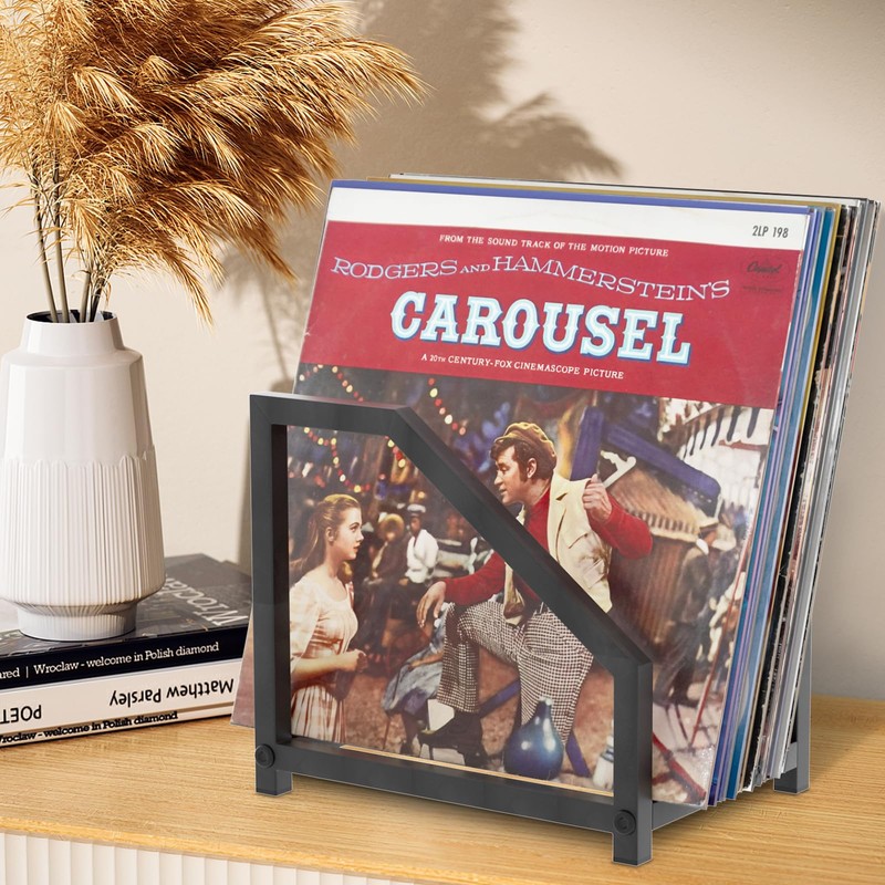 MayRecords Record Stand, Book Stand, Tabletop Storage Display, Supports 30-40