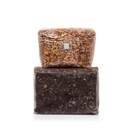 Black Magic Substrate Monotub Refill, 3lbs Exotic Substrate & 2lbs Whole Oats Mushroom Grow Kit Set