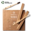Greenzla Bamboo Toothbrushes for Adults – 12 Pack Wooden Toothbrush