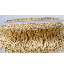 Heartwish268 - Borla de tela de nailon de encaje con flecos de 4 pulgadas de ancho y 10 yardas de largo para accesorios de ropa, vestido de boda latino, decoración de sombra, color dorado