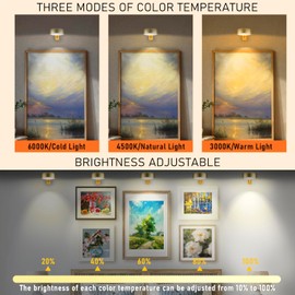 Maooght 3 Pack Gold Picture Lights for Wall, Rechargeable Battery Operated Picture Frame Lights, LED Wall Light for Pictures with 3 Lighting Modes,Magnetic Art Display Light with Remote Dimmable Timer