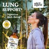 Wild & Organic Slippery Elm Liquid Drops - Lung, Digestive
