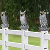 3-Pack Owl Decoys for Bird Deterrent - Weatherproof Bird Repellent