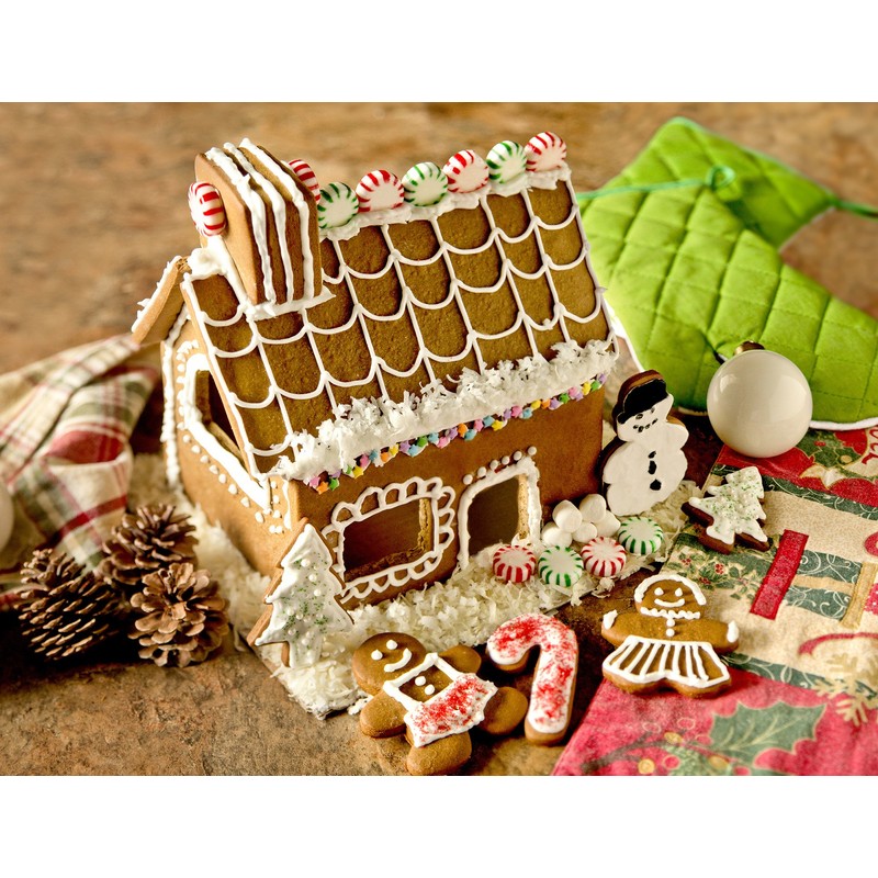 Fox Run 4532 Gingerbread House Cookie Cutter and Icing Bake