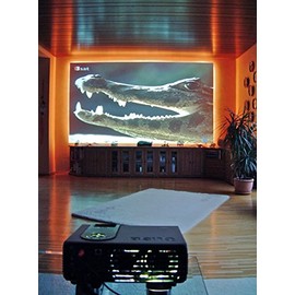 ScreenTech Aufprojektionsfolie von der Rolle 126 x 100 cm | Selbstklebend | Typ ST-LAN-F aus DE