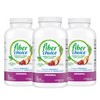 Fiber Choice Assorted Fruit 90 Tablets (Pack of 3) |