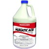 Sunbelt Chemicals 1 Muriatic Acid