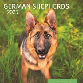 German Shepherd 2025 Wall Calendar - Dog Calendar