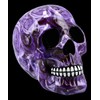 Figuren Shop GmbH Colourful Gothic Skull with Roses - Purple
