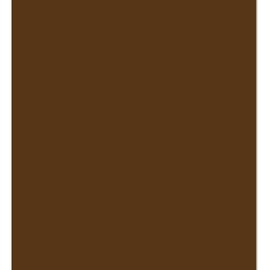 ARK A4 240gsm Colored Card Stock Pack of 10 Sheets (Brown)
