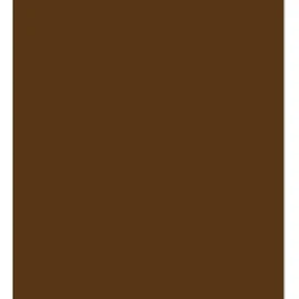 ARK A4 240gsm Colored Card Stock Pack of 10 Sheets (Brown)