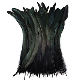 Colorful Rooster Tail Feathers-50PC 10-12inch Natural Long Rooster Tail Feathers Bulk (Black)