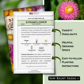 Sow Right Seeds - Tall Mixed Strawflower Seeds - Non-GMO Heirloom Packet with Instructions to Grow - Beautiful to Plant in Your Flower Garden - Cut Flower Favorite - Wonderful Gardening Gift (3)