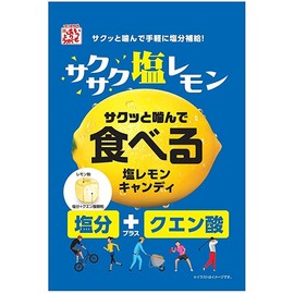 Matsuya Seika Eating Salt Lemon Candy 2.8 oz (80 g)