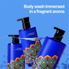 Pyunkang Yul [Pyunkang Yul]Body Wash Dancheong 350ml