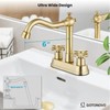gotonovo 4 Inch Centerset Bathroom Sink Faucet with Double Cross