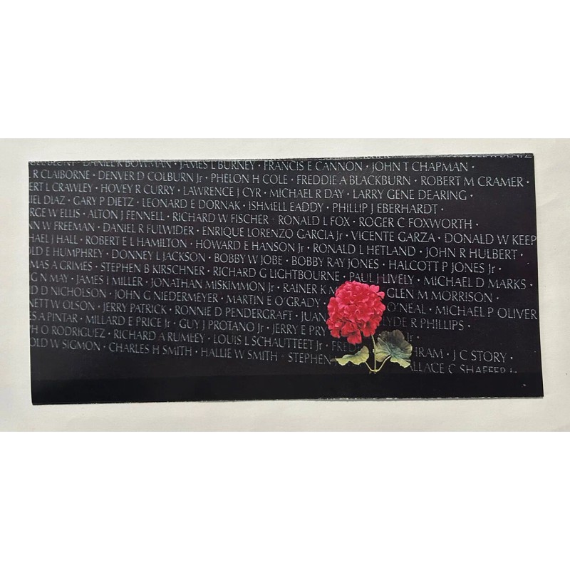 Vietnam Veterans Memorial National Park Unigrid Brochure Map Washington DC