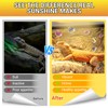 REPTI ZOO 2PACK Reptile Heat Lamp Bulb, 100W Full Spectrum