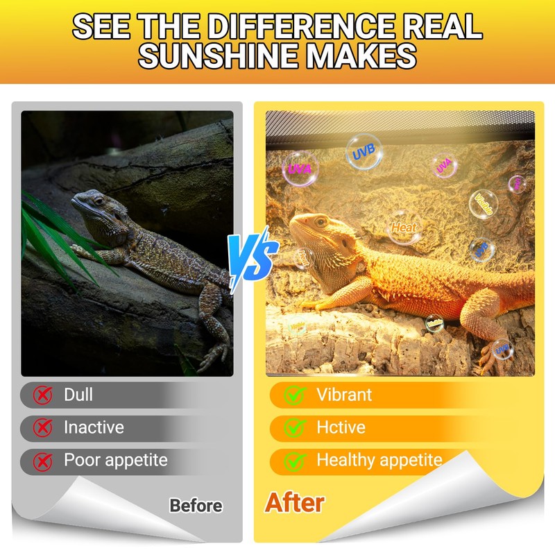 REPTI ZOO 2PACK Reptile Heat Lamp Bulb, 100W Full Spectrum