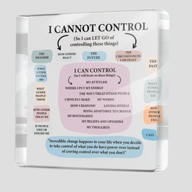 Mental Health Therapist Office Desk Decor Clear Acrylic Sign, Inspirational Gifts for Women Men Friends, Therapist Office Art Decoration for Desk Gadgets Tabletop Cubicle, Things I Can Control