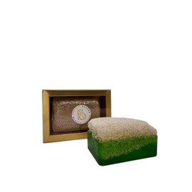 Loofah Soap 120 g with Aloe Vera - For Gentle Cleansing & Exfoliation - Natural Skin Care with Pumpkin Fibre