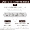 Kanebo Comfort Skin Wear Ochre C