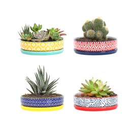 Selamica Ceramic Succulent Pots, Shallow Succulent Planters with Drainage Hole & Saucer, Indoor Plant Pots for Cactus, Home Decor，Assorted Colors,6 inch，Set of 4
