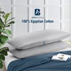Body Pillow case with Zipper Closure 100% Egyptian Cotton 500