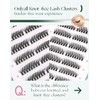 Lash Clusters Eyelash Extension Pre-styled Natural Lashes Clusters C Curl