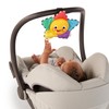 Baby Einstein Star Bright Symphony Plush Musical Take-Along Toy, Ages