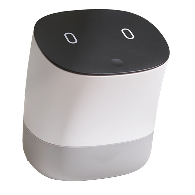 Mini Trash Can with Lid Small Desktop Trash Can Detachable