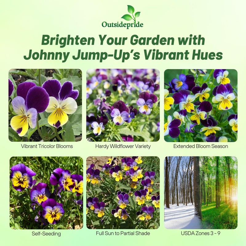 Outsidepride Johnny Jump Up Viola Wild Flower Seeds - 5000