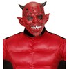 WIDMANN 00842 ? Devil Mask, One Size, Adult