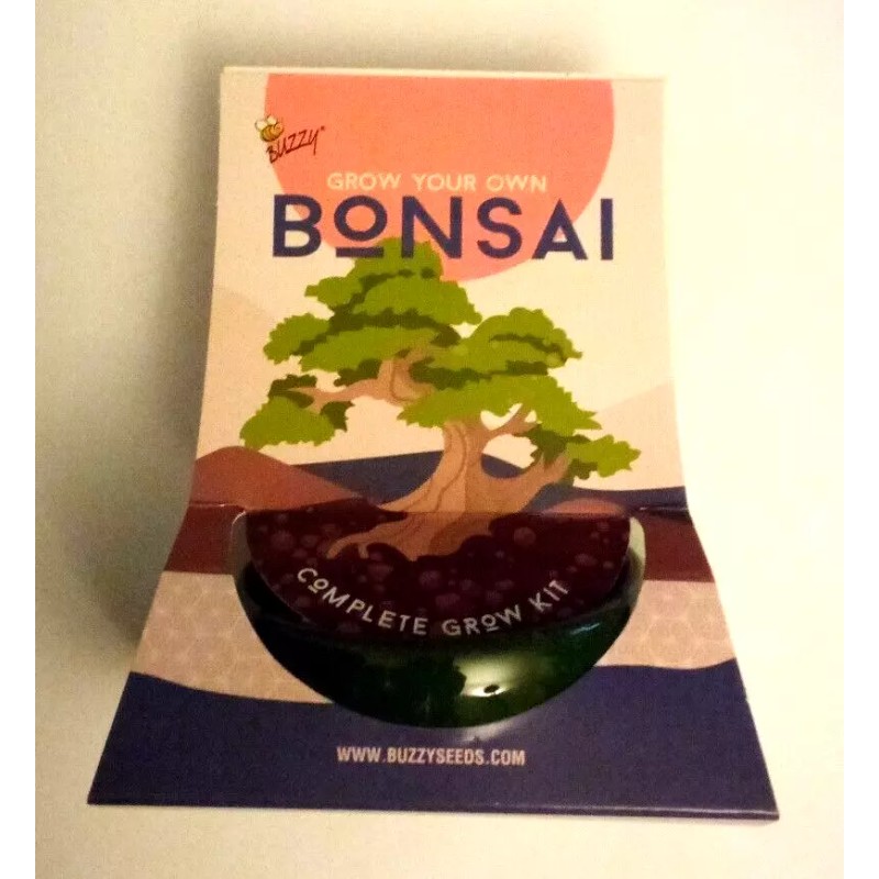 Buzzy Bonsai (Spruce - Picea Abies) Complete Grow Kit