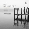 Schubert: Klaviersonaten Vol.3