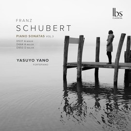 Schubert: Klaviersonaten Vol.3
