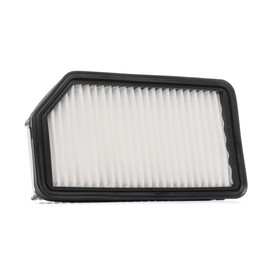 RIDEX PLUS 8A0191P Engine Air Filter || Air Filter Insert, Car Filter, Car Filter, Engine Air Filter, Filter for Air, Engine Air Motor Filter