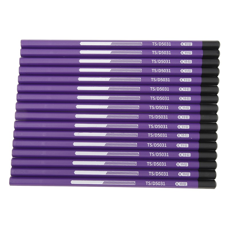 16pcs Charcoal Pencil Drawing Sketching Shading Pencils for Beginners Professional