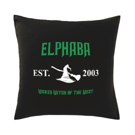 Hippowarehouse Elphaba wicked witch of the west Printed bedroom accessory cushion cover case 41x41cm