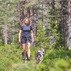 Non-stop dogwear Line Harness 5.0 |214| Guide and Everyday Harness,