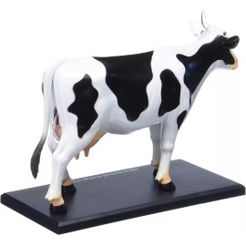 Tedco 4d Vision Cow Model Modelo Anatomía Vaca