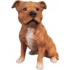 Vivid Arts - Staffordshire Terrier Brindle - XRL-STF4-D