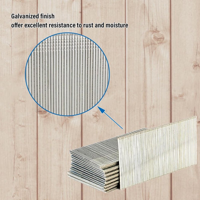 Zeluga 13-516 2'' x 16 Gauge Galvanized Wire Medium Head