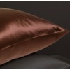 Jasmine Silk 100% 19 Momme Mulberry Charmeuse Silk Pillowcase for