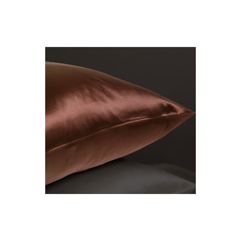 Jasmine Silk 100% 19 Momme Mulberry Charmeuse Silk Pillowcase for
