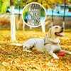 NTR Long Dog Leash, 30FT Check Cord with 2 Swivel